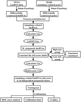 A Signature of Autophagy-Related Long Non-coding RNA to Predict the Prognosis of Breast Cancer